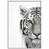 Malerifabrikken Gerahmter Digitaldruck White Tiger -BadWelt Verkaufs-Shop 1222563