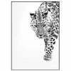 Malerifabrikken Gerahmter Digitaldruck White Leopard 1 Malerifabrikken Gerahmter Digitaldruck White Leopard -BadWelt Verkaufs-Shop 1251264