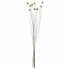 Butlers Trockenblumen Craspedia, Gelb -BadWelt Verkaufs-Shop 1520866