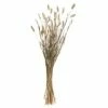 Butlers Trockenblumen Lagurus Gras -BadWelt Verkaufs-Shop 1520868