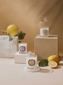 BadWelt Verkaufs-Shop 21 BadWelt Verkaufs-Shop -BadWelt Verkaufs-Shop 1542738